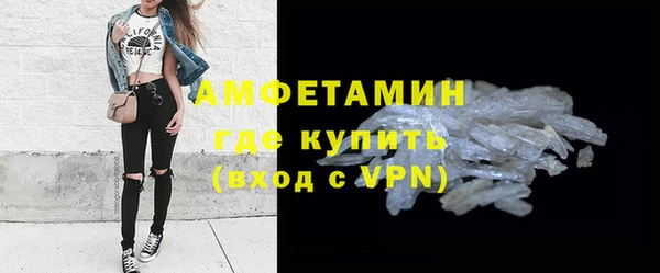 гидра Няндома
