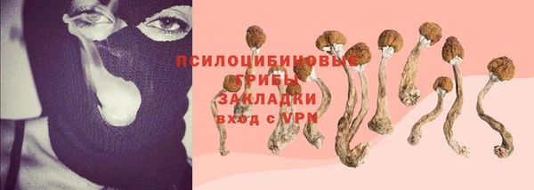 прущий лед Алексеевка