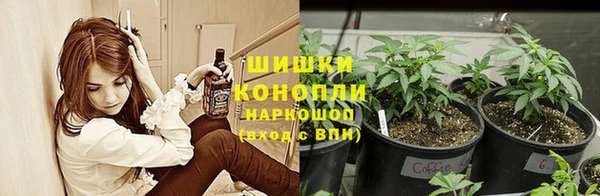 ALPHA PVP Алзамай